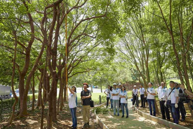 藝師教導大家認識樹木、檢查樹的健康狀況，學習修枝及碎枝覆土
